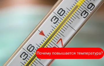 Почему поднимается температура? Почему поднимается температура?